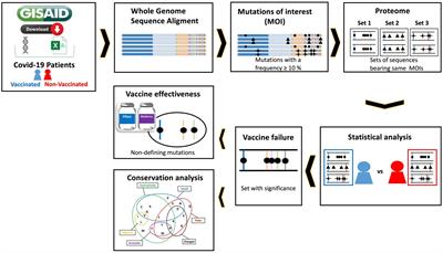 Unlocking the puzzle: non-defining mutations in SARS-CoV-2 proteome may affect vaccine effectiveness